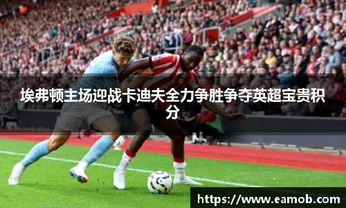 埃弗顿主场迎战卡迪夫全力争胜争夺英超宝贵积分