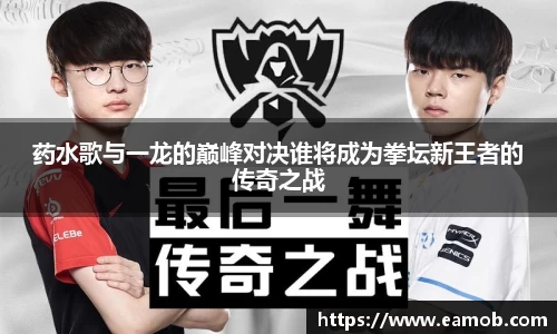 药水歌与一龙的巅峰对决谁将成为拳坛新王者的传奇之战